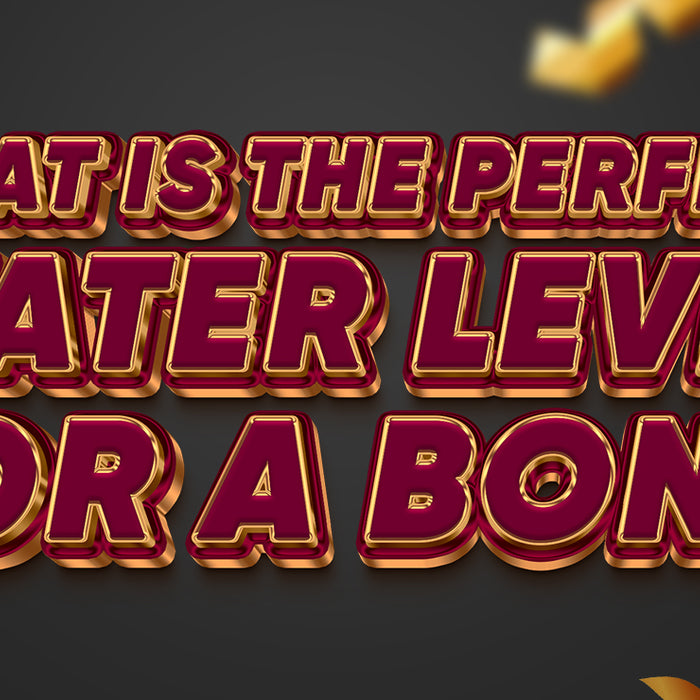 What Is the Perfect Water Level for a Bong?