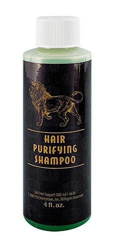Magnum Hair Purifying Shampoo 4oz - SmokeZone 420