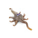 Heady Starfish Pipe - SmokeZone 420