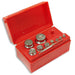 WeighMax WS100 Calibration Weight Kit - SmokeZone 420